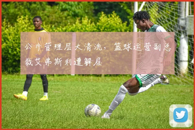 公牛管理层大清洗,篮球运营副总裁艾弗斯利遭解雇