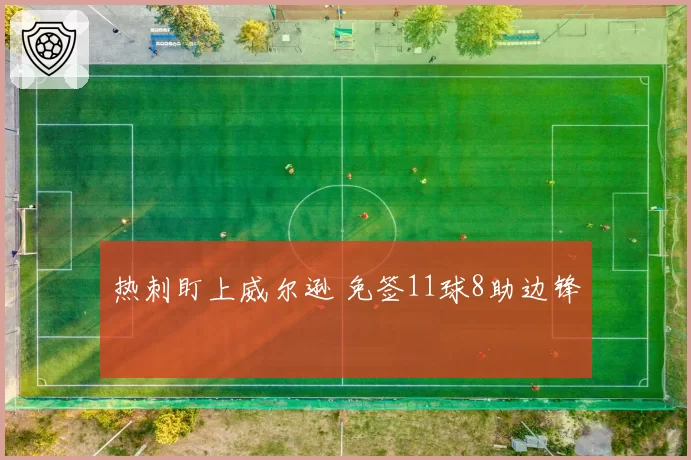 热刺盯上威尔逊 免签11球8助边锋