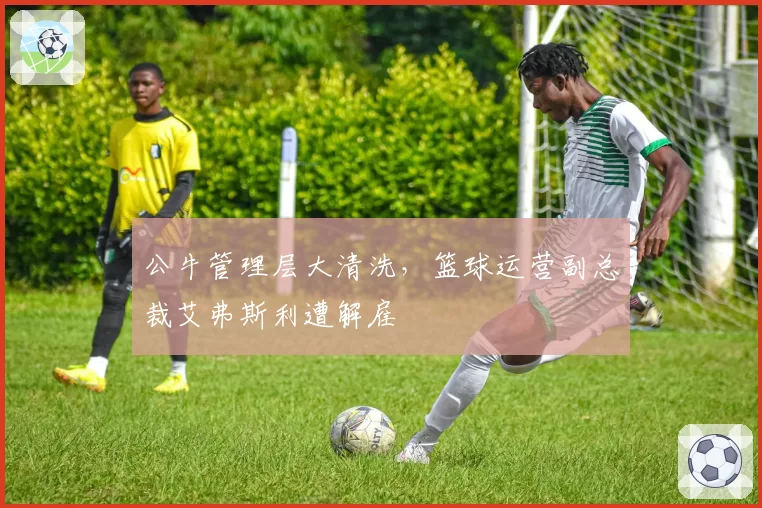 公牛管理层大清洗,篮球运营副总裁艾弗斯利遭解雇